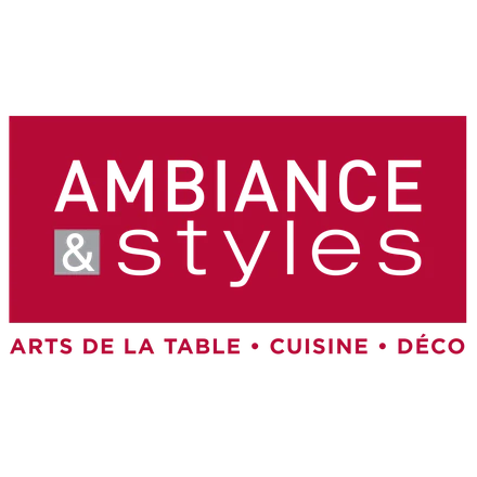 Logo Ambiane & Styles
