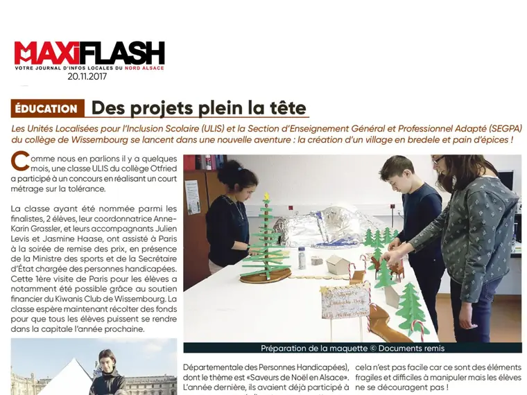 Aperçu de l’article « Des projets plein la tête » (Maxi Flash)